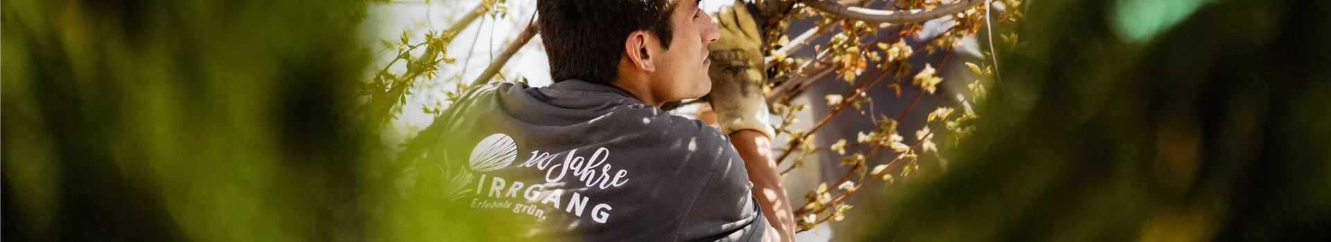 DLP_0019_04802 DLP_0019_04802